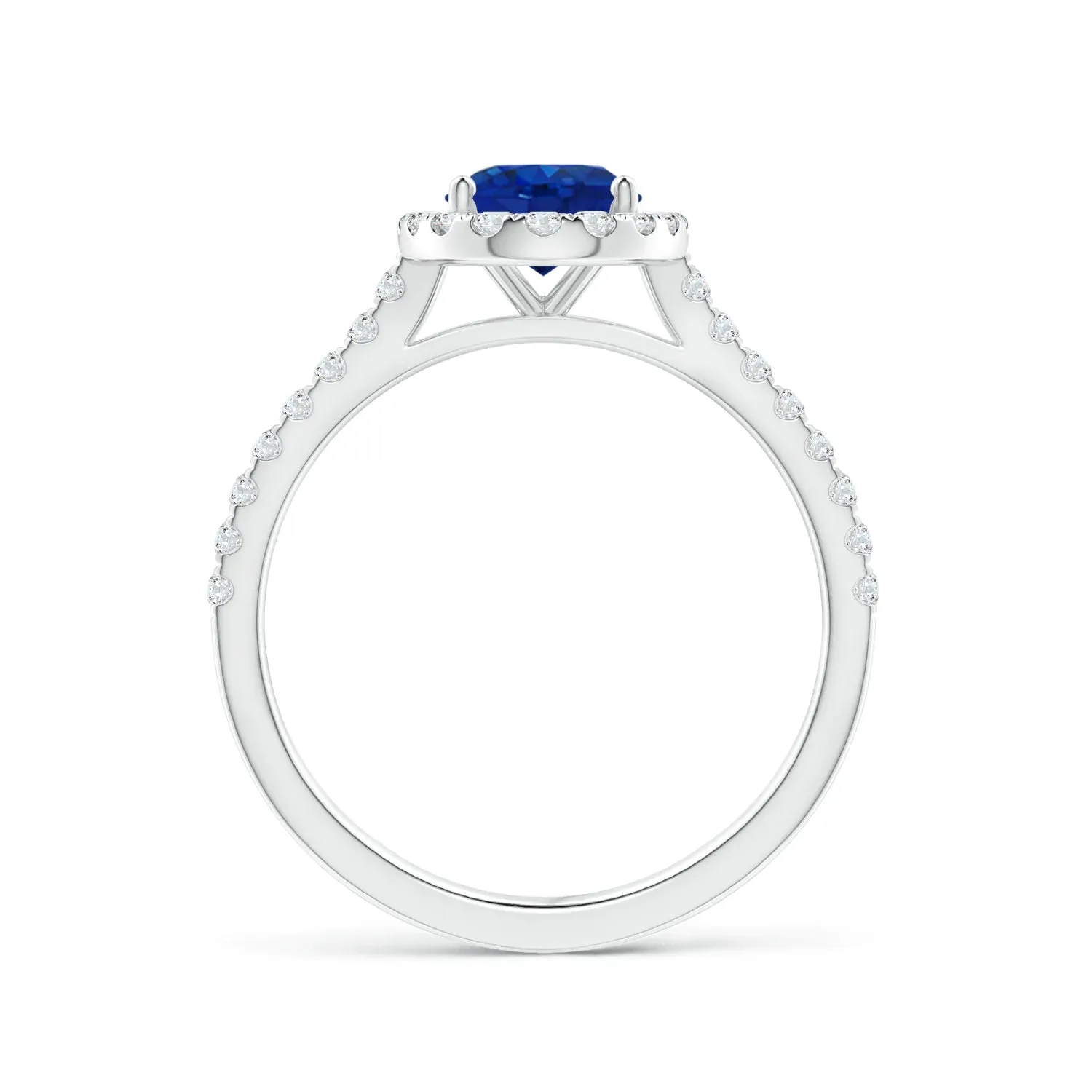 2 CT. Oval Sapphire with Classic Halo Ring