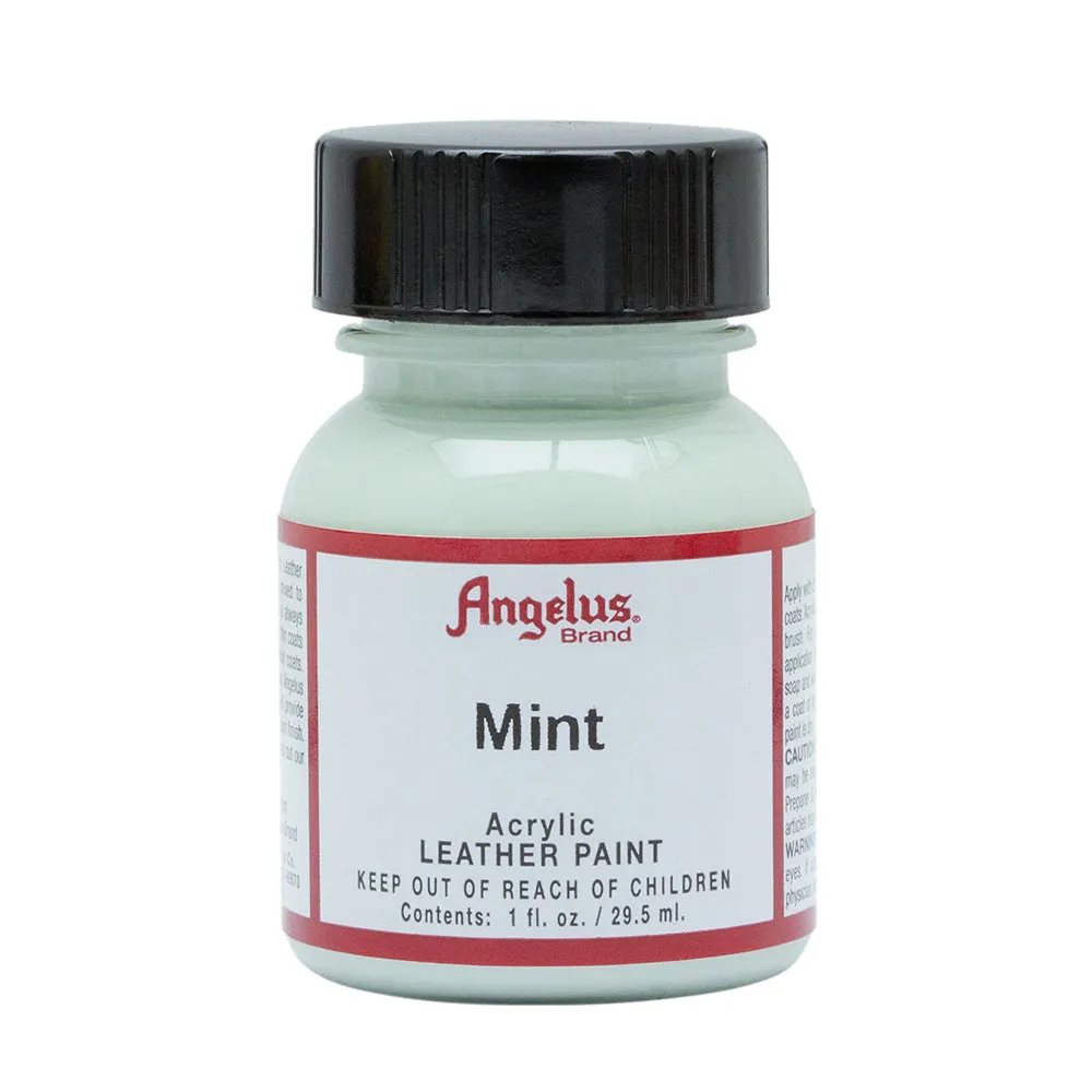 Angelus Mint Leather Paint 076