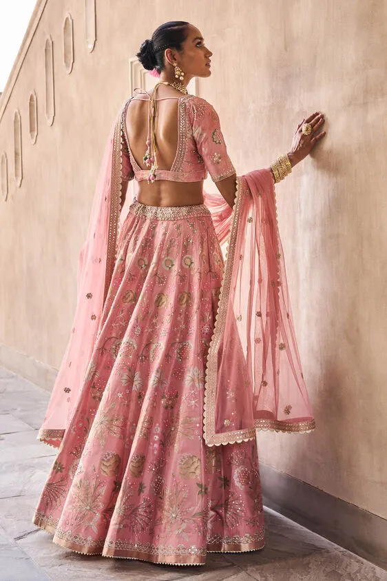 Bhramana Lehenga Set - Blush