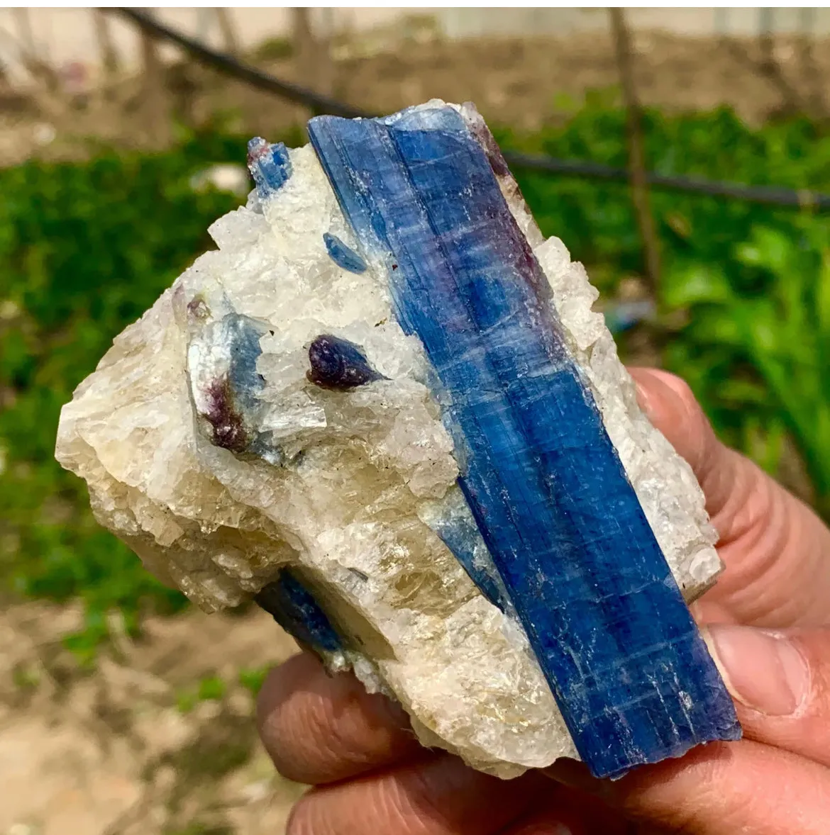 Natural Kyanite in Quartz