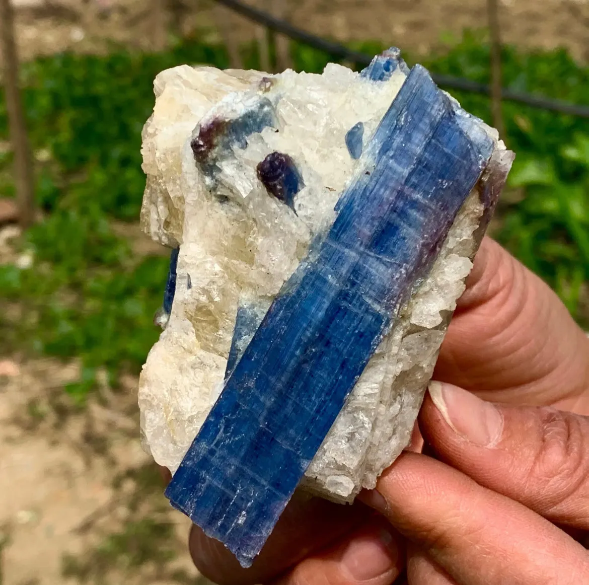 Natural Kyanite in Quartz