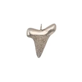 Shark Tooth